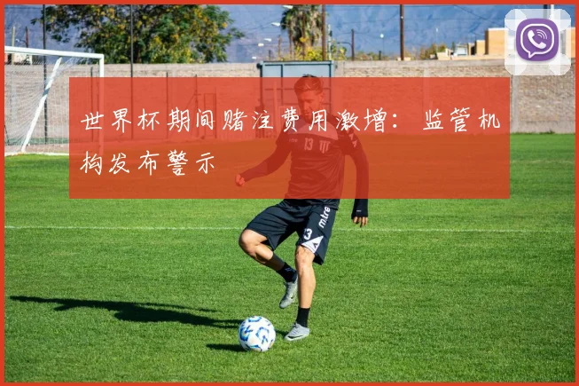 世界杯期间赌注费用激增:监管机构发布警示