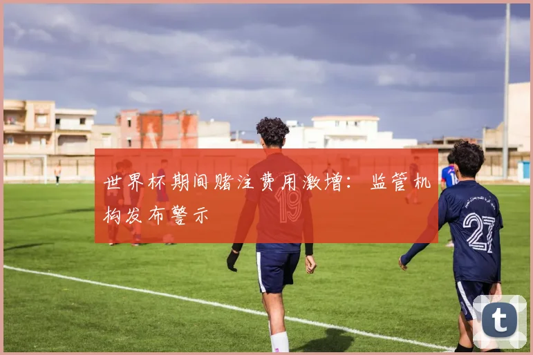 世界杯期间赌注费用激增:监管机构发布警示