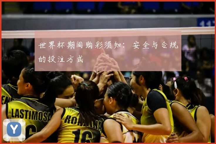 世界杯期间购彩须知：安全与合规的投注方式