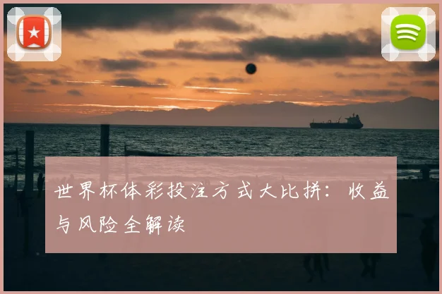 世界杯体彩投注方式大比拼:收益与风险全解读