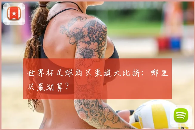 世界杯足球购买渠道大比拼:哪里买最划算?