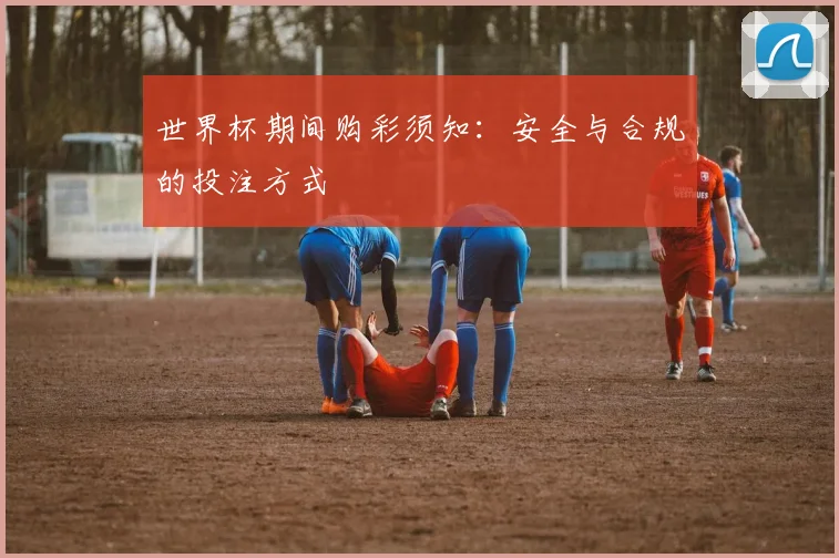 世界杯期间购彩须知:安全与合规的投注方式