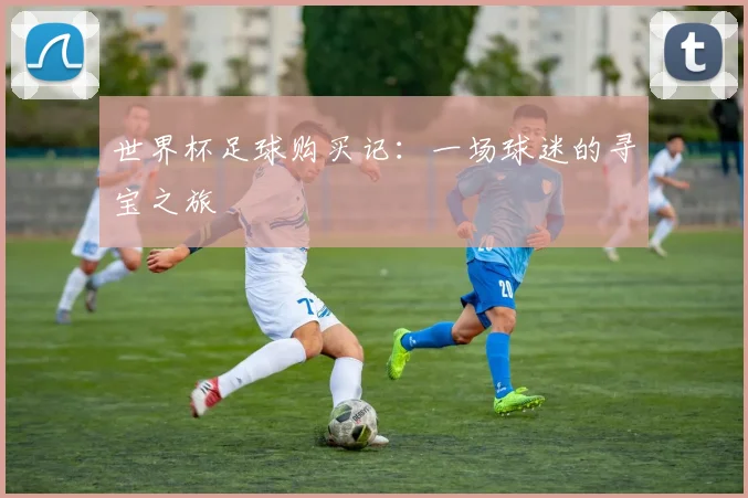 世界杯足球购买记：一场球迷的寻宝之旅