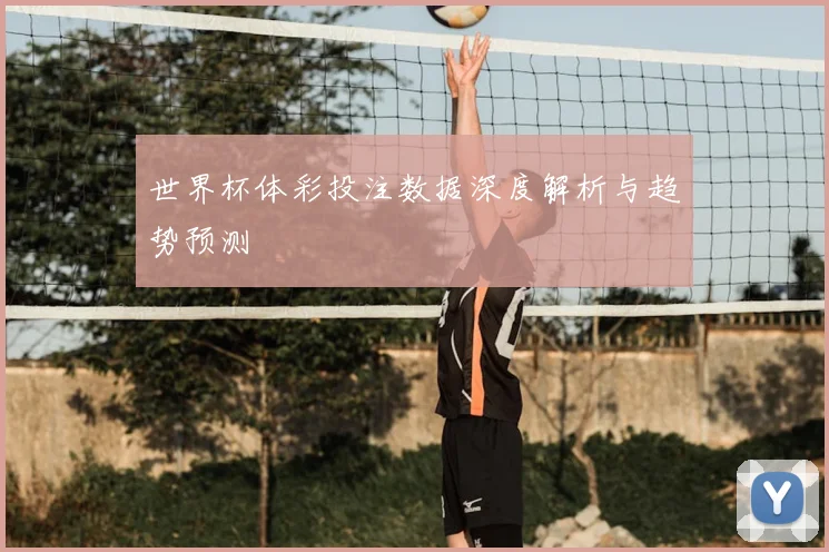 世界杯体彩投注数据深度解析与趋势预测