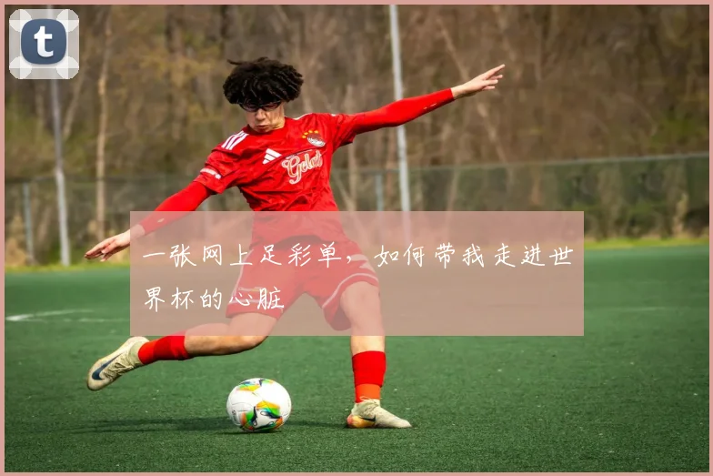 一张网上足彩单,如何带我走进世界杯的心脏