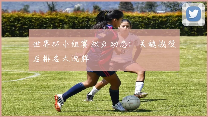世界杯小组赛积分动态：关键战役后排名大洗牌