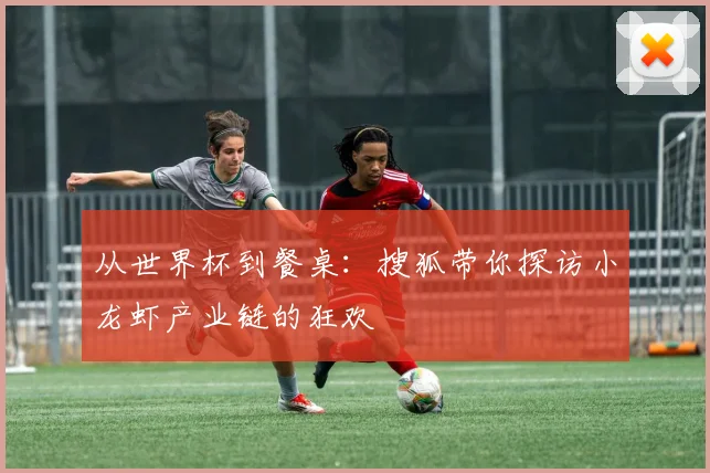 从世界杯到餐桌：搜狐带你探访小龙虾产业链的狂欢