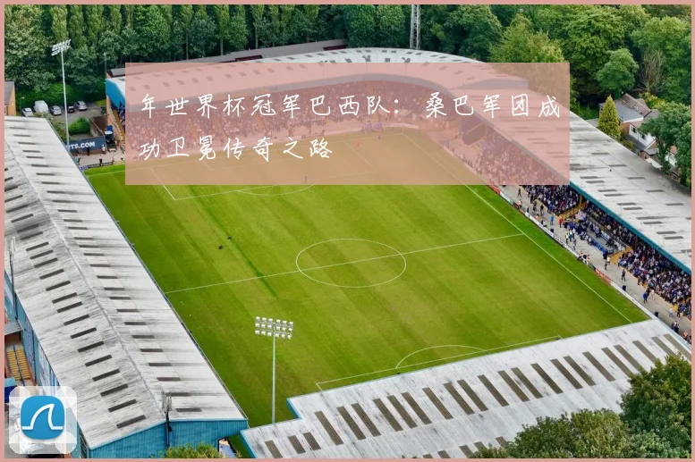 年世界杯冠军巴西队：桑巴军团成功卫冕传奇之路