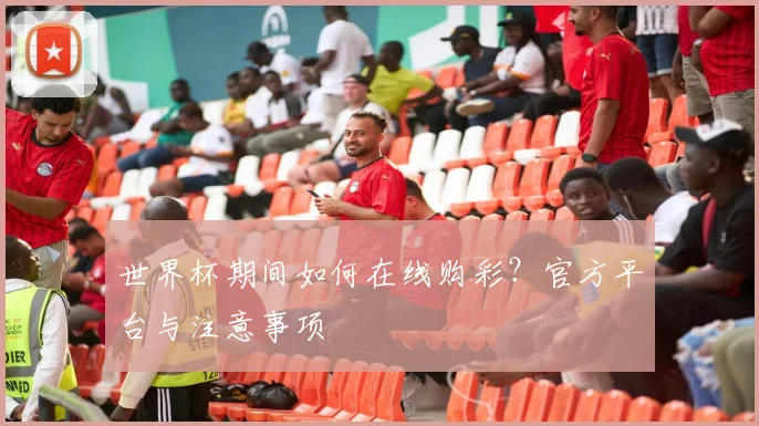 世界杯期间如何在线购彩？官方平台与注意事项