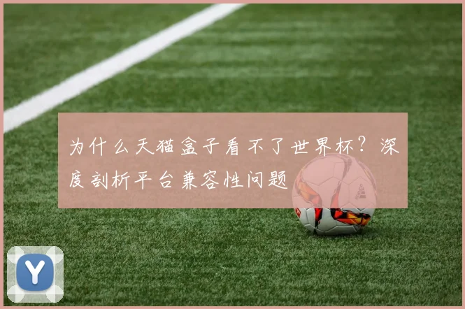 为什么天猫盒子看不了世界杯？深度剖析平台兼容性问题
